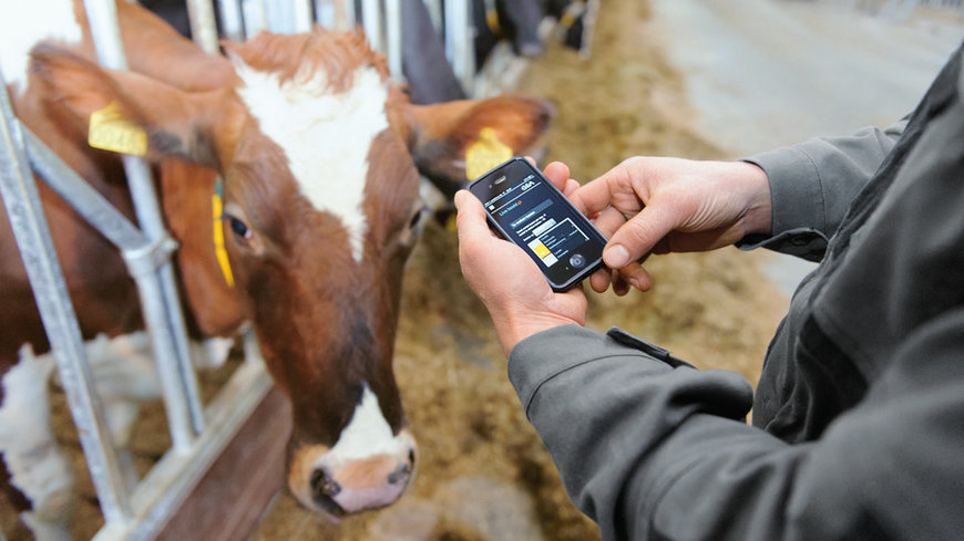 GEA treibt die Automatisierung und digitale Transformation im Milchviehbetrieb voran